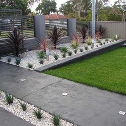 Gravel/rock/palms/boxwood/steppingstone 