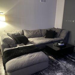 6 Months Old Couch