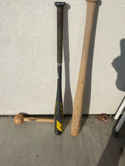 Youth bats