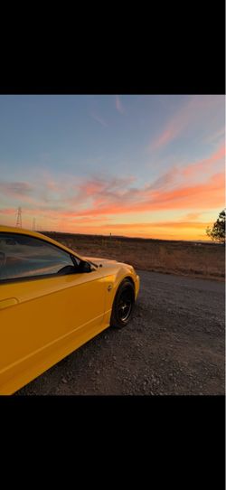 1999 Ford Mustang