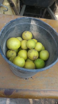 Lemons