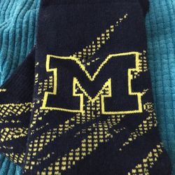 Michigan New Socks.  Adidas
