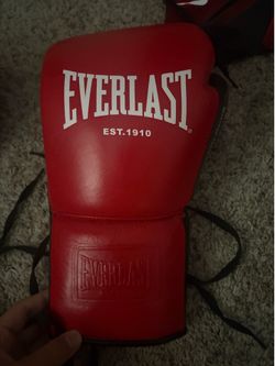 14 oz Everlast boxing gloves