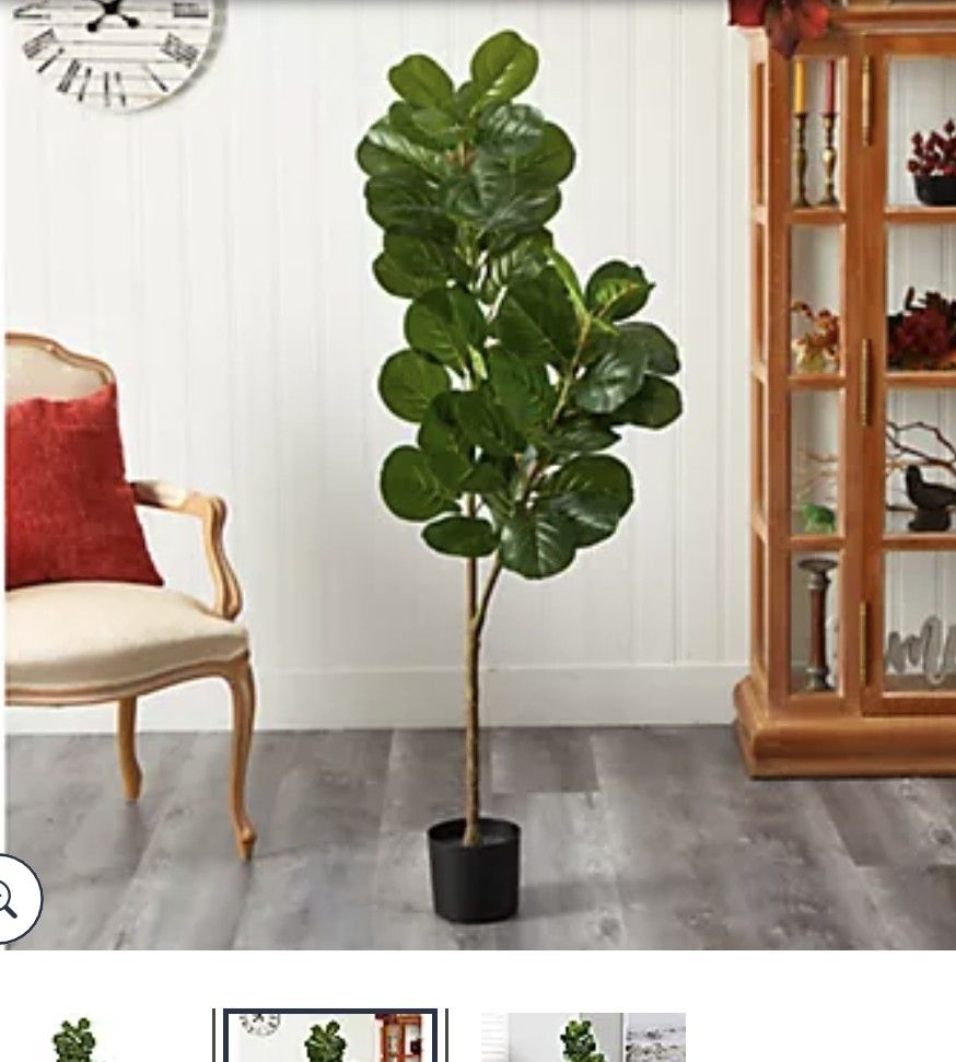 Gorgeous in green, this potted fiddle leaf tree by Valerie Parr Hill brings the look of nature into your home. The tree's large green leaves are a lov