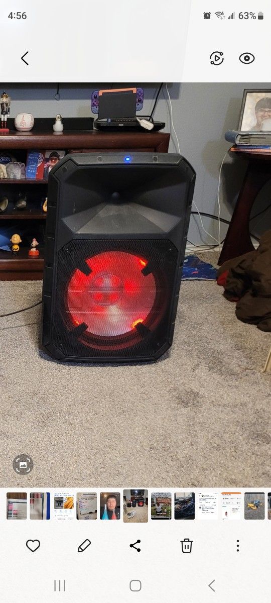Ion Party Speaker