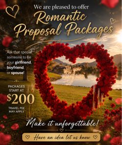 Proposals- Ready to Propose?