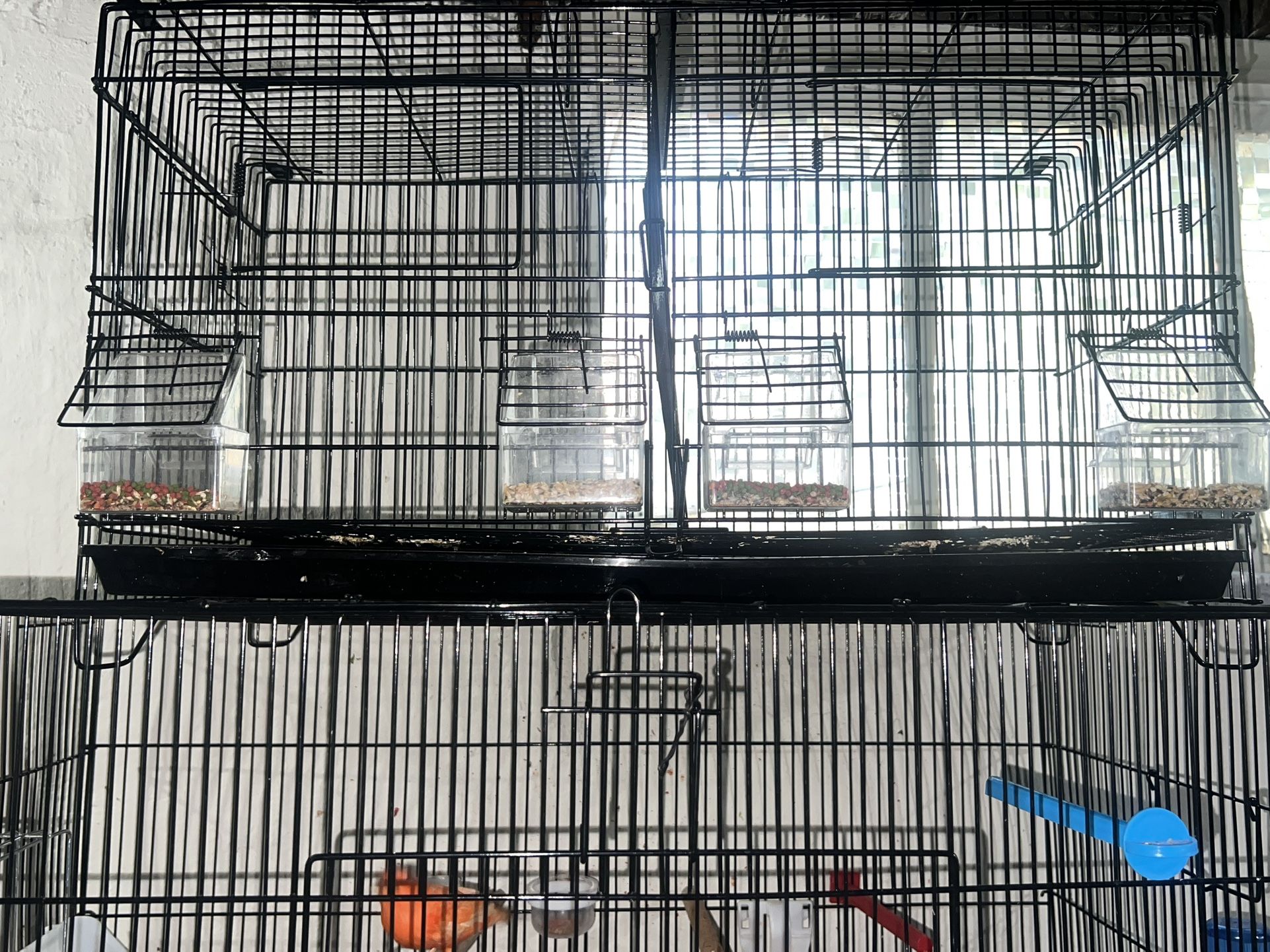 Canary Bird Cage