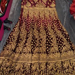 Elegant Indian Gown