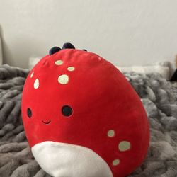 Dolan 11” Squishmallow