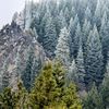Cool Stuff Of Oregon 