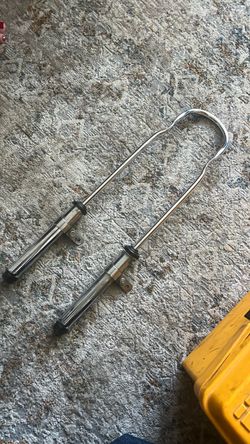 Sissy bar with shocks