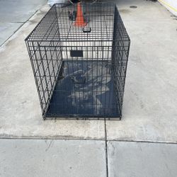 Dog Kennel