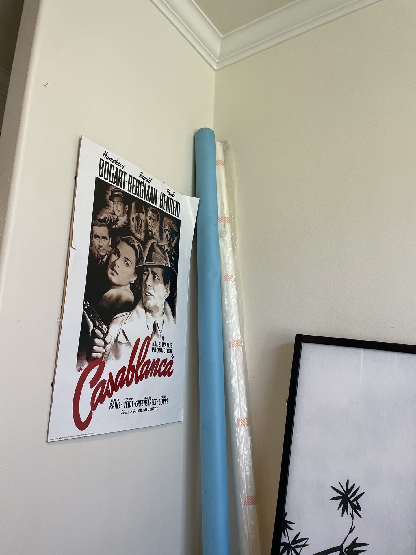 White Paper Photo Backdrop