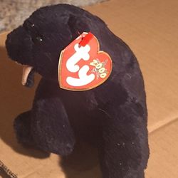TY BEANIE BABIE "BLACK BEAR"