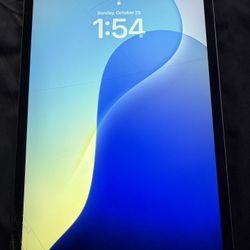 iPad Pro 11 inch 2nd Gen Cellular 256GB