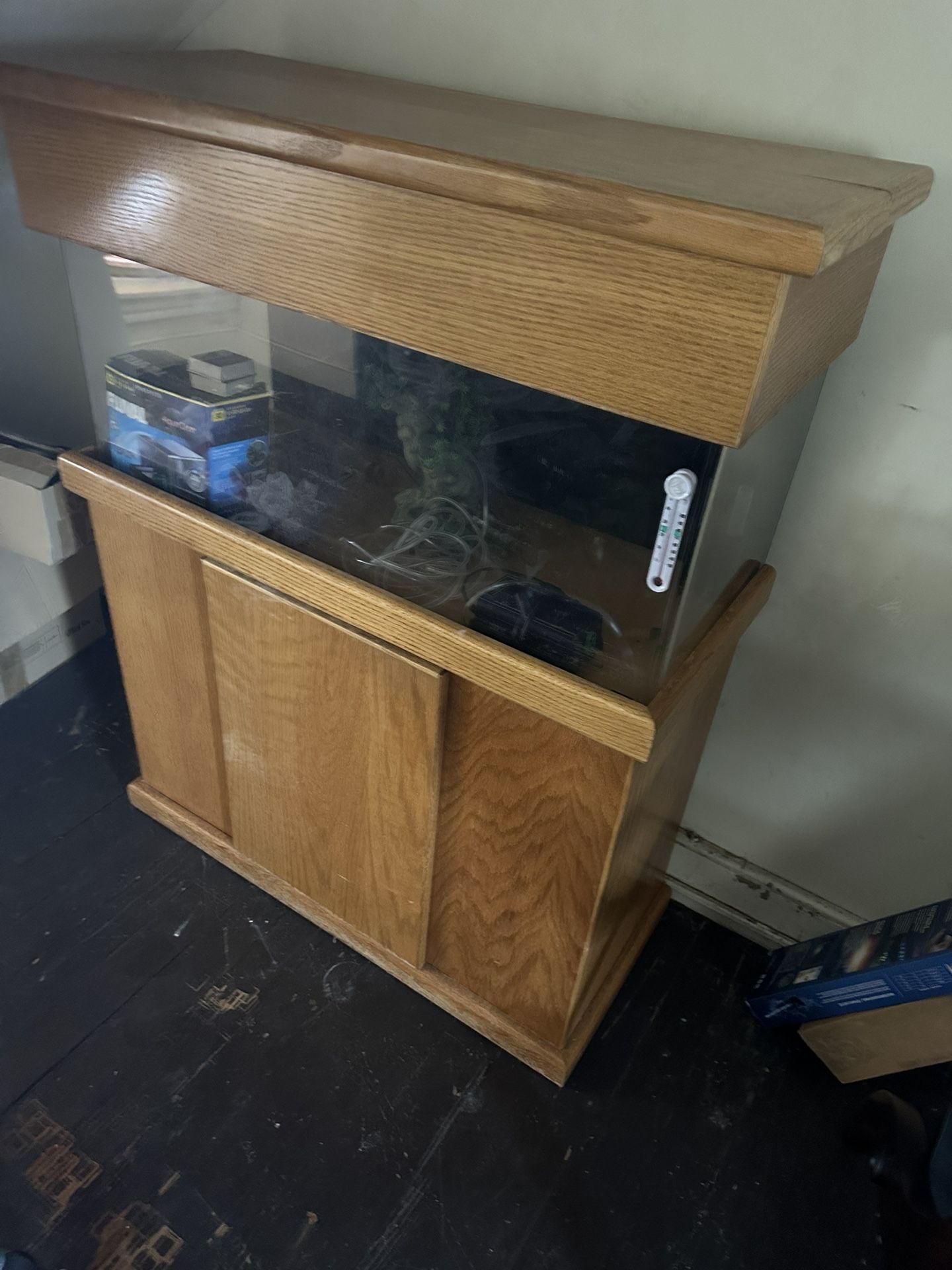 Reef Saltwater Aquarium, Fish Tank