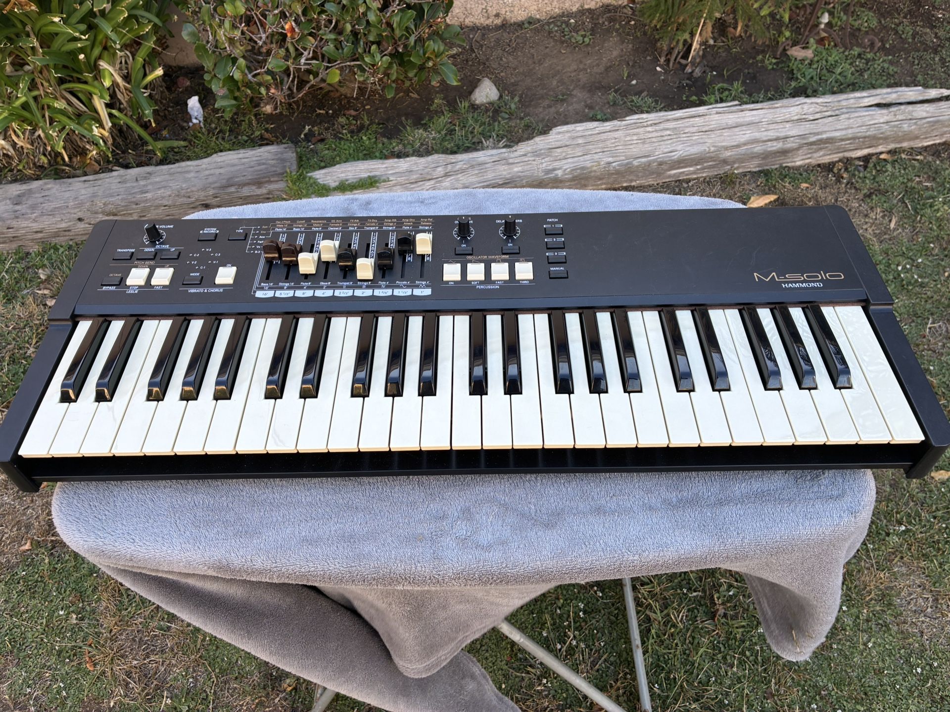 Hammond M-solo Organ