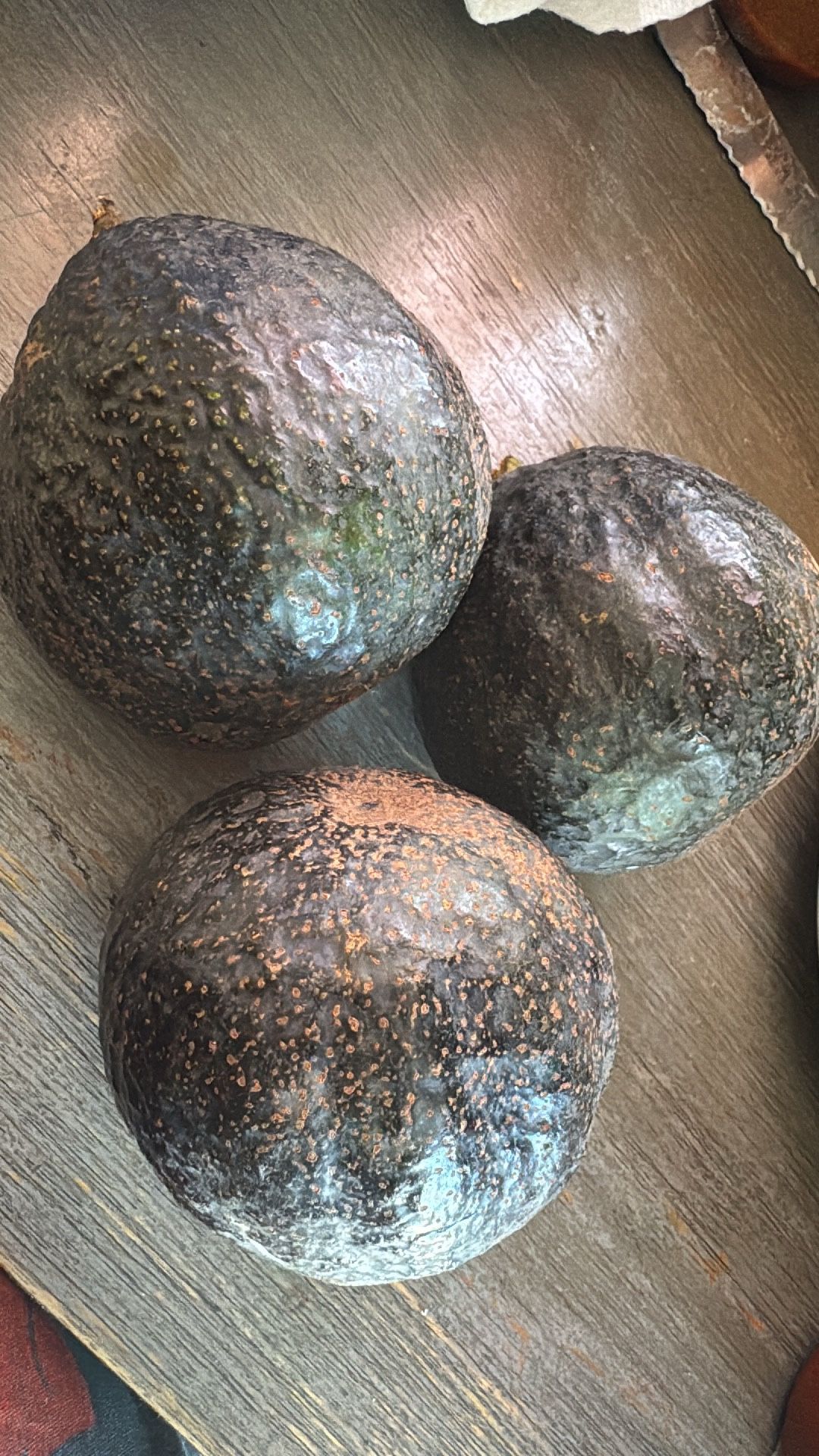 Avacados 