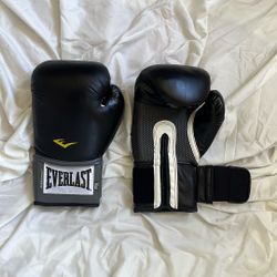 Everlast 16 oz Boxing Gloves