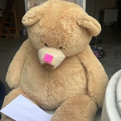 Teddy Bear