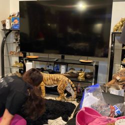 75 inch TV with the stand