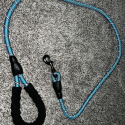 5ft Dog Leash with Comfortable Padded Handle and Highly Reflective Threads Blue