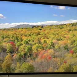 58 Inch Vizio
