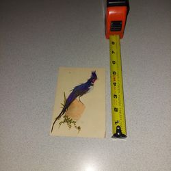 VINTAGE 1910'S FEATHER ART GREETING CARD 