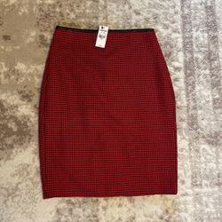 Express Pencil Skirt