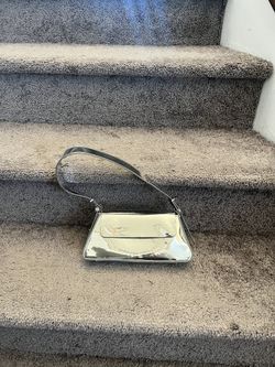 Zara Purse
