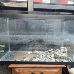 30 gallon aquarium tank