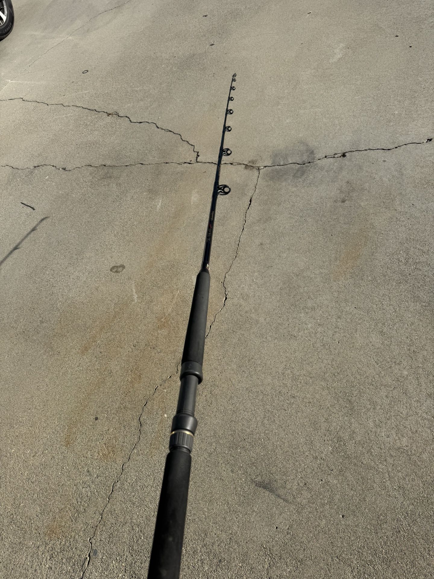Shimano deep-sea fishing rod