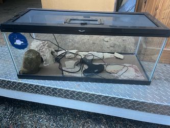 Reptile Tank