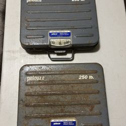 Pelouze p250s Utility Scales 
