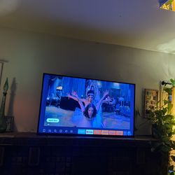 Insignia 48” Flatscreen with Amazon Fire Stick and Wall Mount