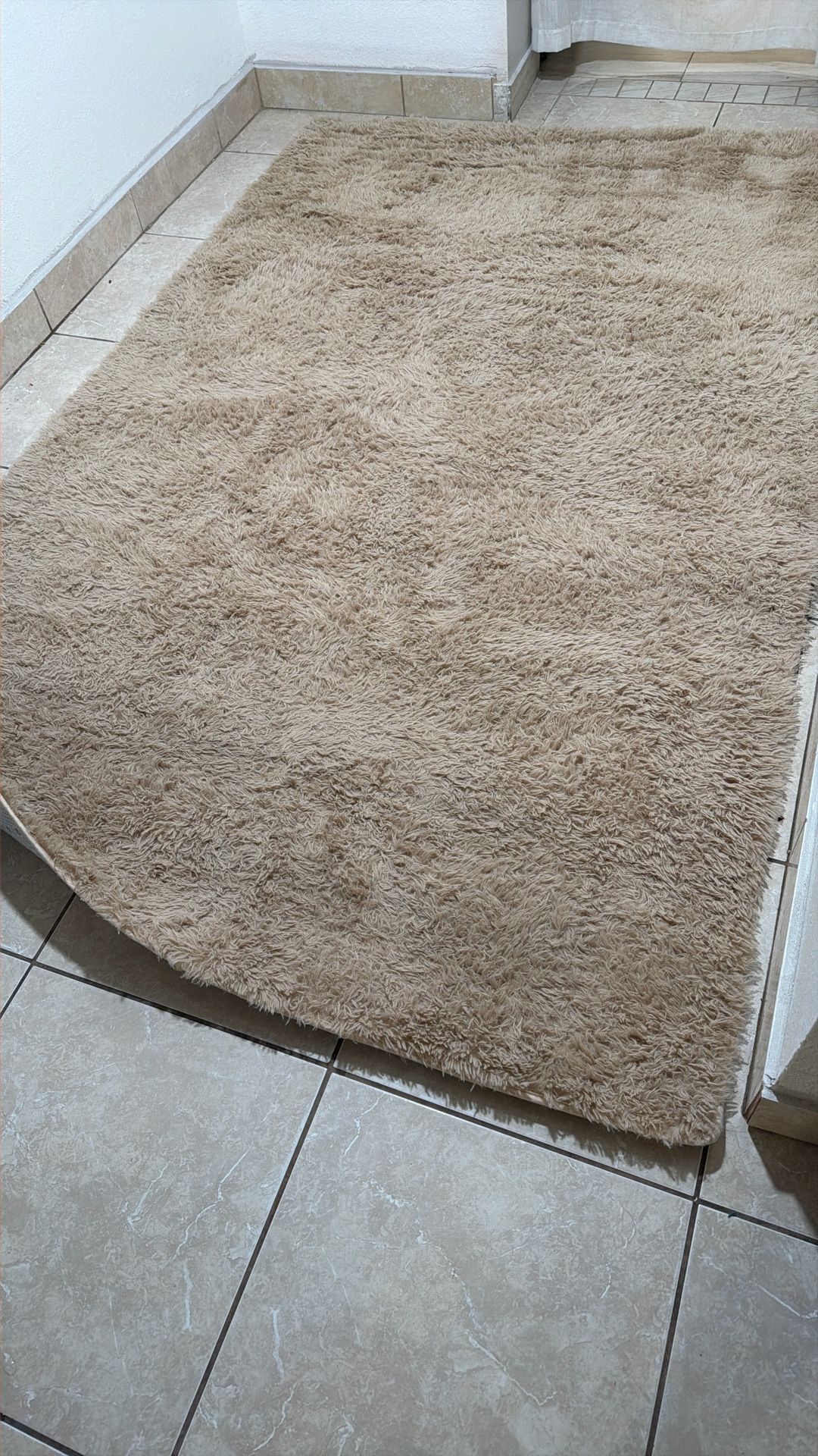 Shaggy Fluffy Furry Area Rug