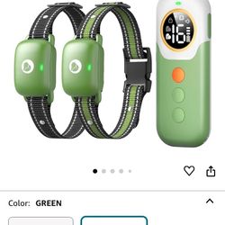 Green Shock Collar