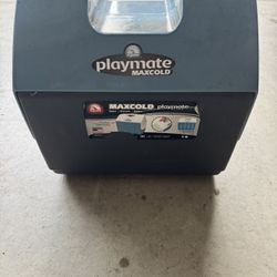 Playmate 15 Liter Cooler