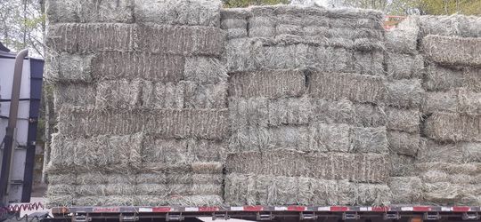 Timothy Hay 3 String Bales