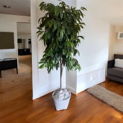 Beautiful Unique Tropical 6.5 Ft. Artificial Plants/Tree