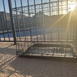 Foldable Dog Crate – Gently Used, Great Condition!