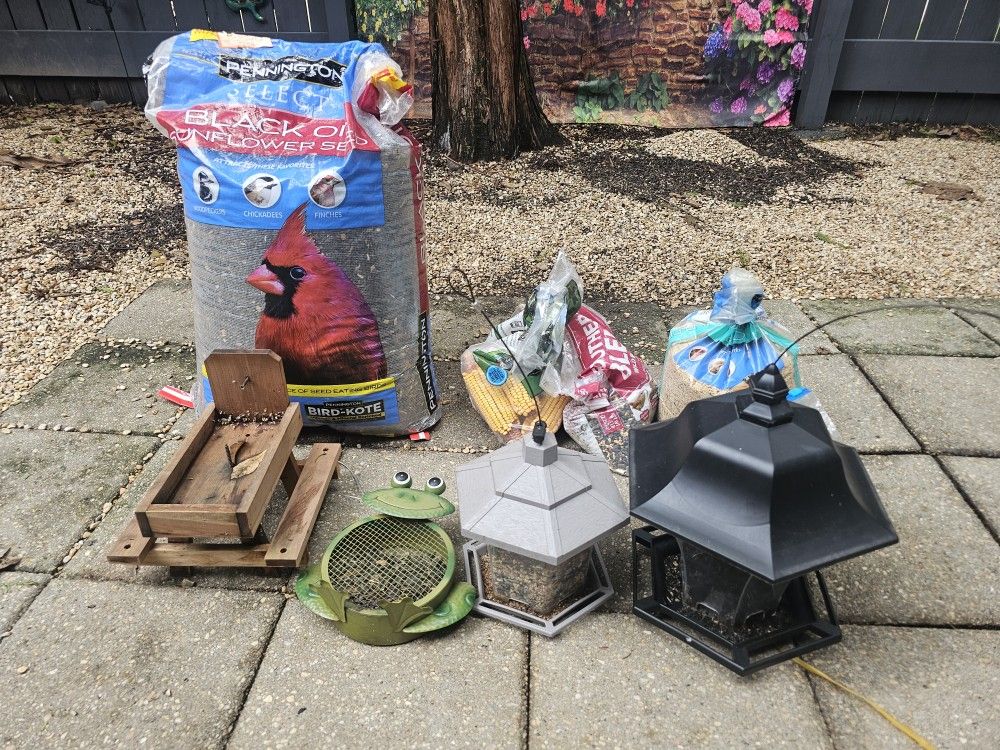 Bird Feeding Bundle & Squirrel