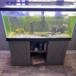 75 Gallon Aquarium 