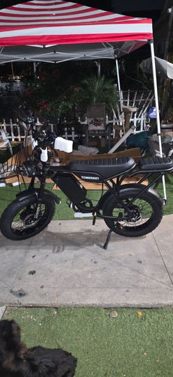 E-bike/bicicleta electrica