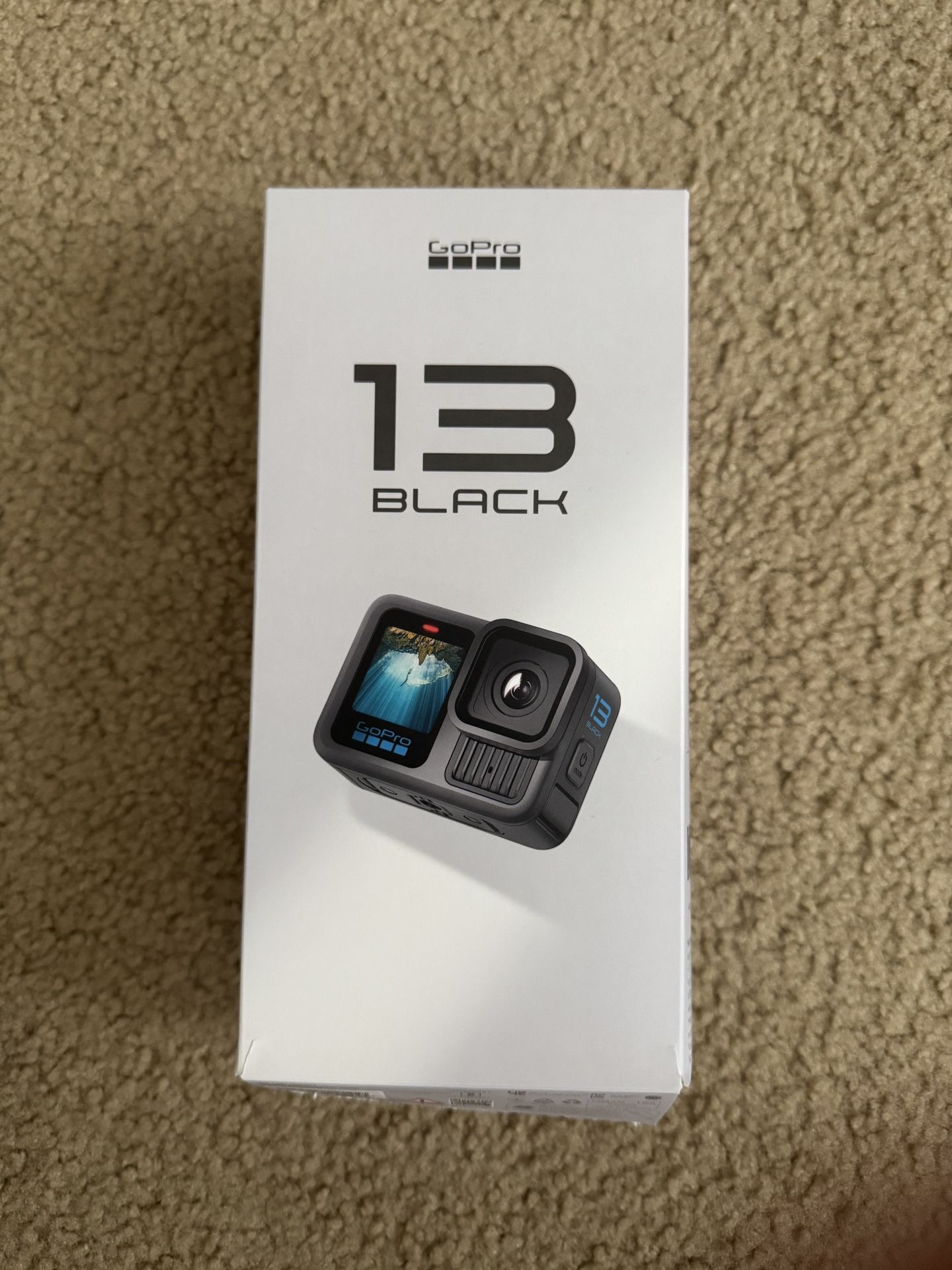 Gopro Hero 13