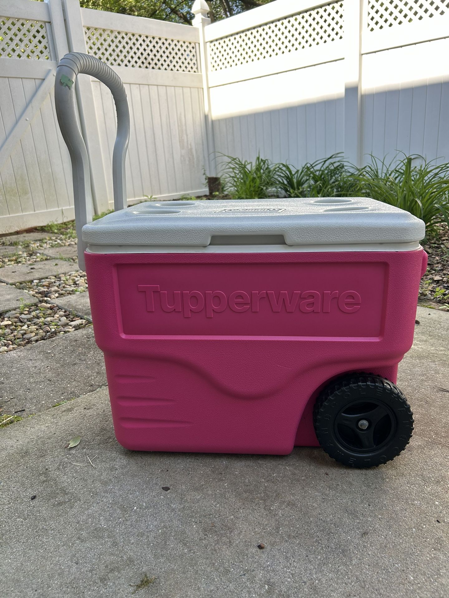 Coleman Wheels Cooler PINK