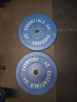 Pair of 45 lb bumper plates