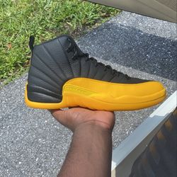 Jordan 12 University 