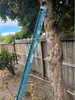 Ladder