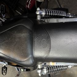 Mustang Step Up Seat 